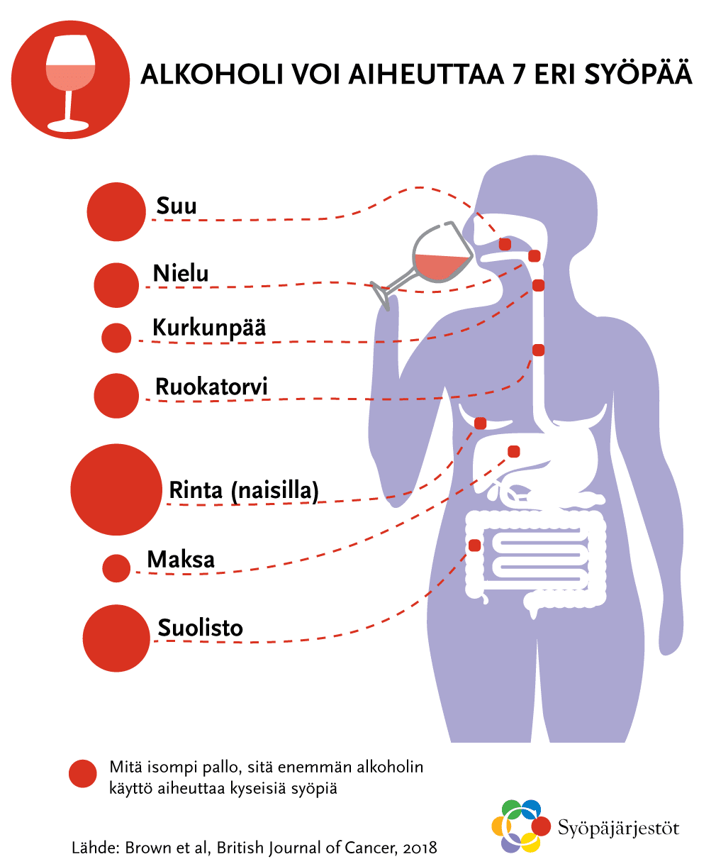 Alkoholi voi aiheuttaa seitsemän eri syöpää. Kuvassa ihmisen keho, esitelty mitä syöpiä alkoholi voi aiheuttaa. Mitä isompi pallo sitä enemmän kyseisiä syöpiä alkoholi voi aiheuttaa. Järjestyksessä suuremmasta pienempään määrään: rintasyöpä naisilla, suolistosyöpä, suusyöpä, ruokatorven syöpä, nielusyöpä, kurkunpääsyöpä ja maksasyöpä. Lähteenä Brown et al, British Journal of Cancer 2018.