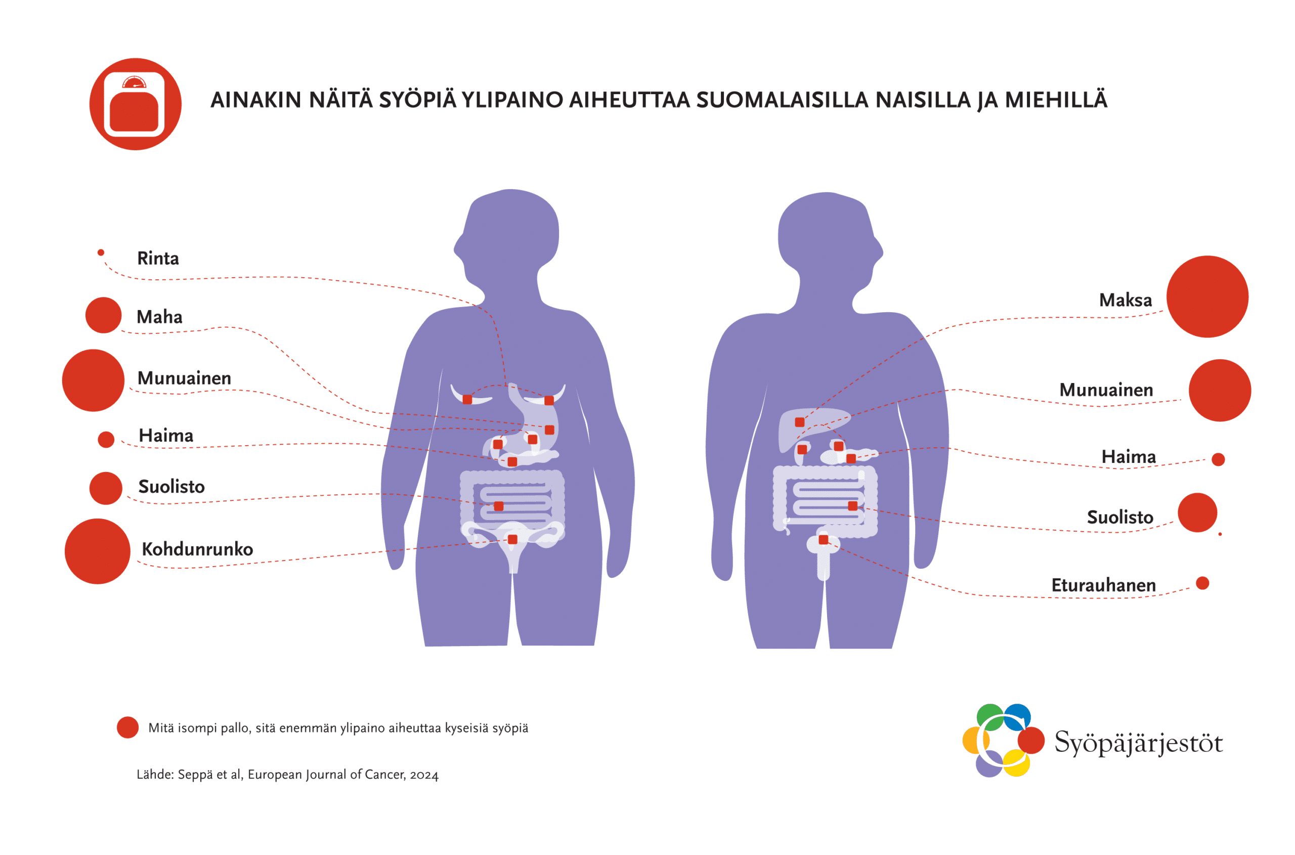 kuva jossa selviää ylipainon aiheuttamat syöpäriskit.